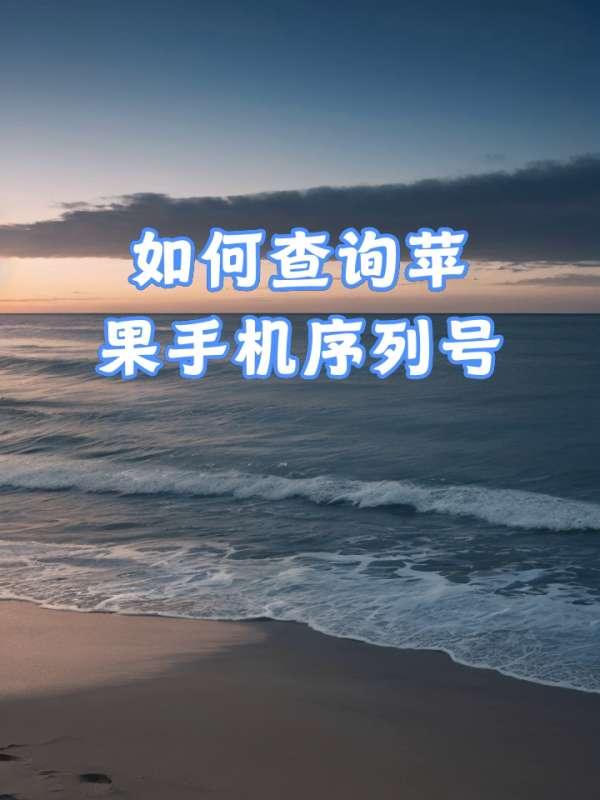 老朋友序列号#我的序列号是多少